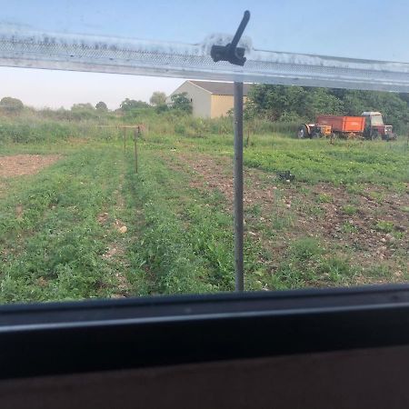 La Ferme De Rotani Hotel Aléria Kültér fotó