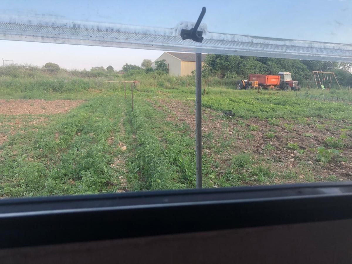 La Ferme De Rotani Hotel Aléria Kültér fotó