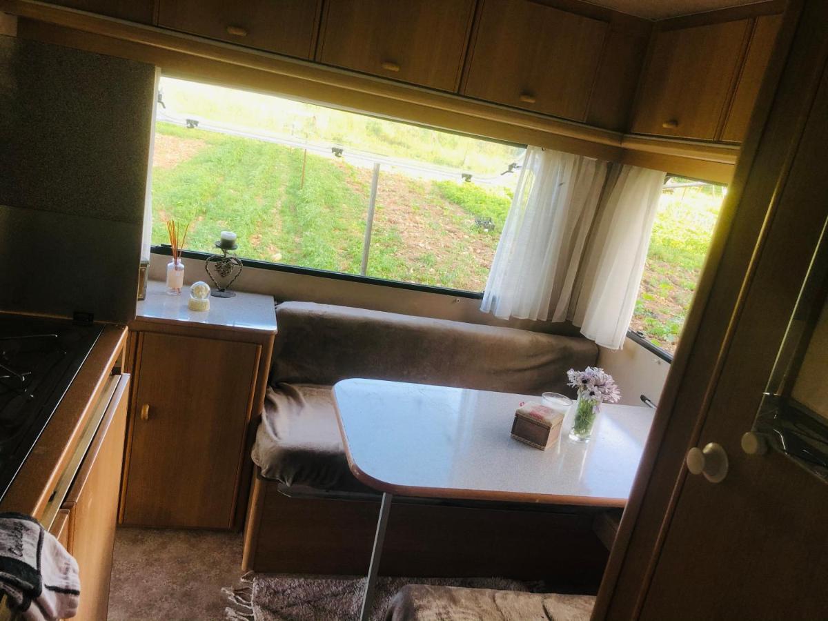 La Ferme De Rotani Hotel Aléria Kültér fotó
