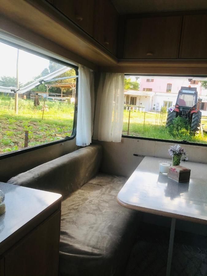 La Ferme De Rotani Hotel Aléria Kültér fotó