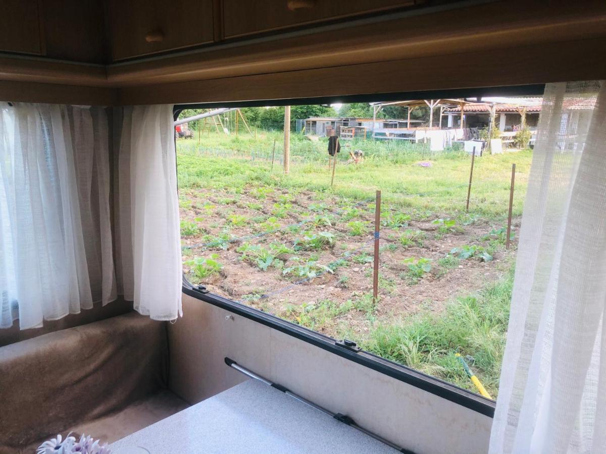 La Ferme De Rotani Hotel Aléria Kültér fotó