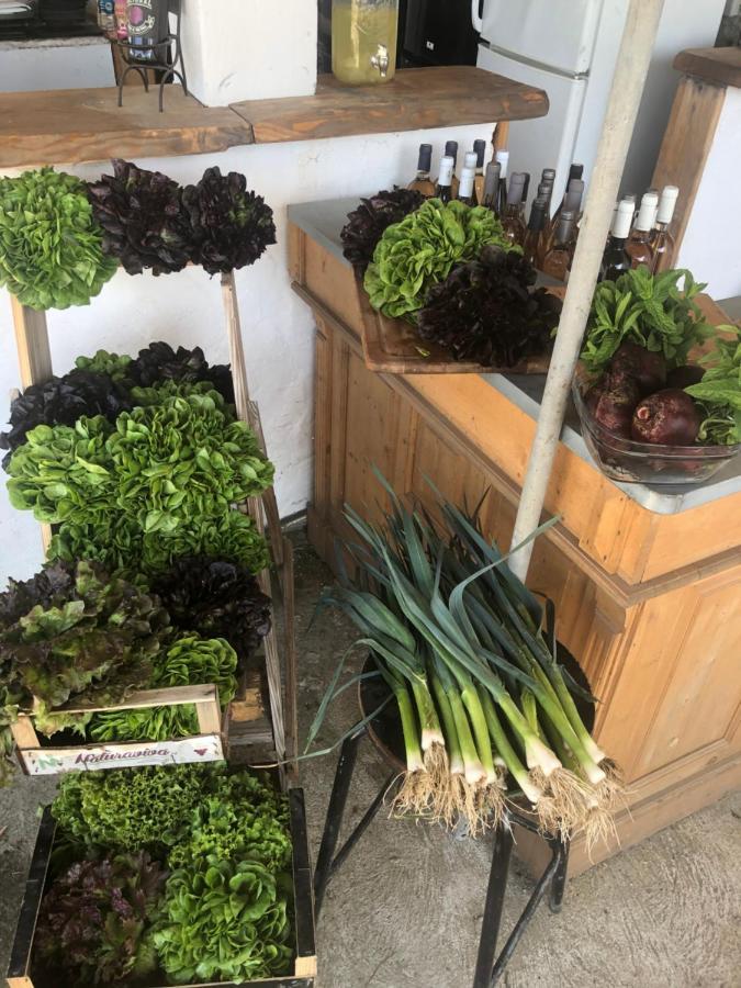 La Ferme De Rotani Hotel Aléria Kültér fotó